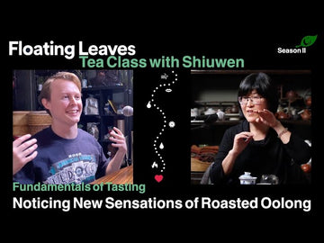 Ep 3 : Bodily Sensations of Oolong Tea