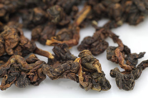 New Teas Release for Fall