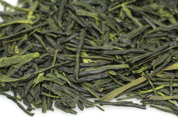 Sencha Yabukita