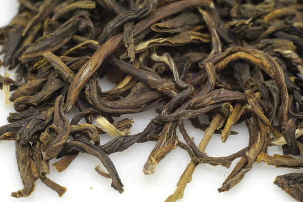 Jasmine Green